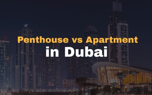 Penthouse vs Apartment in Dubai